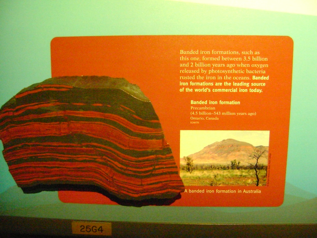 Field Museum 12011 Flickr