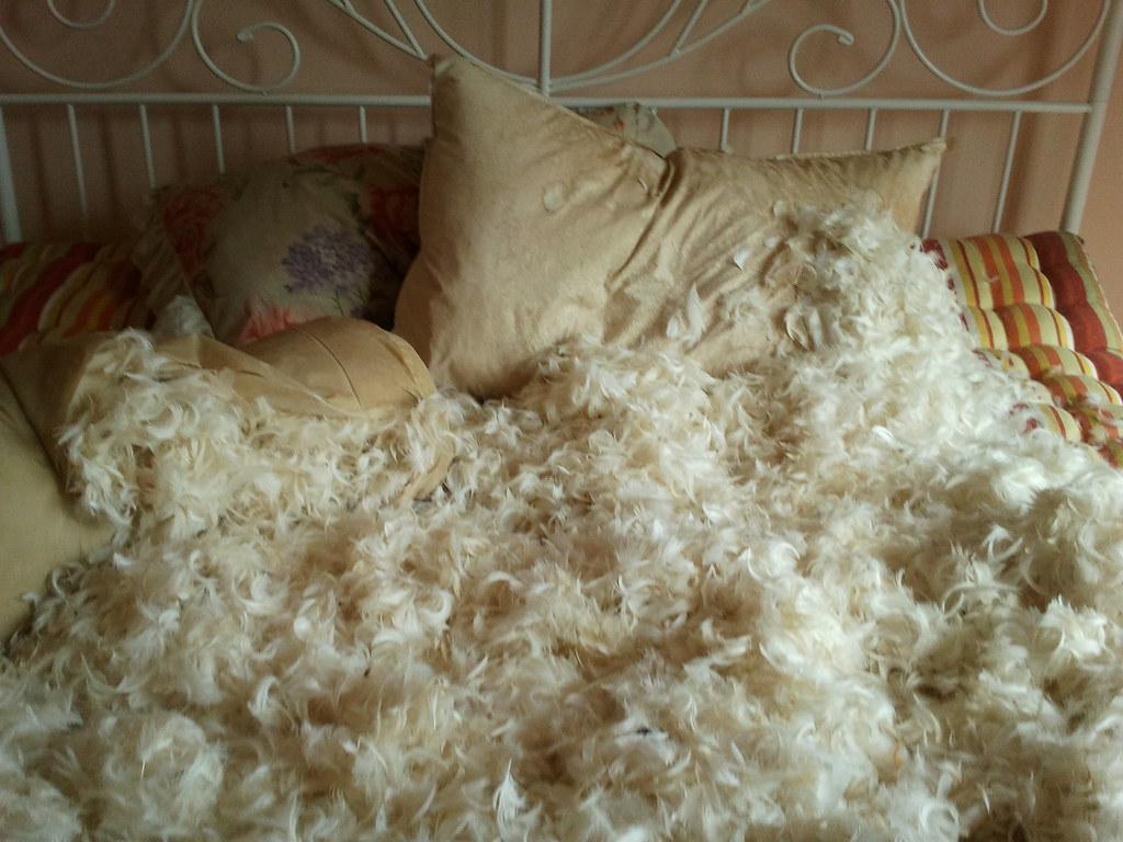 Bed of feathers Bed full of feathers.. yay p xmodel15x Flickr