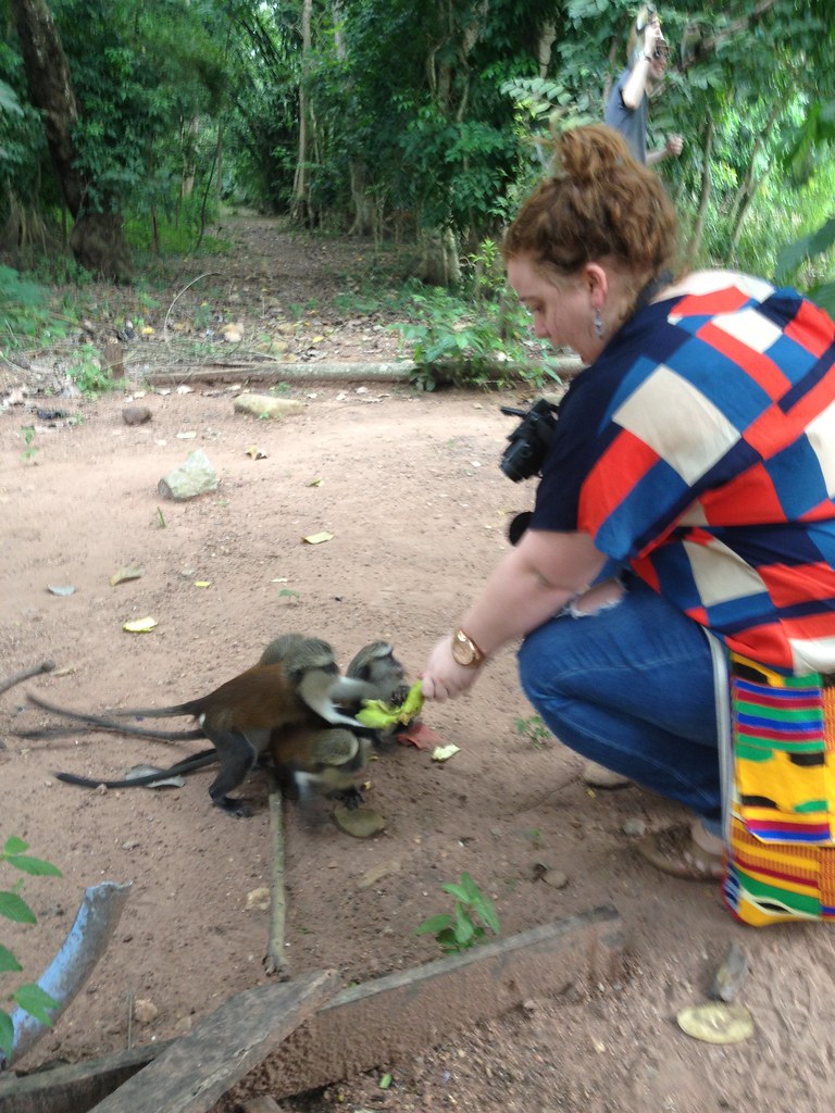 Monkey Village Flickr