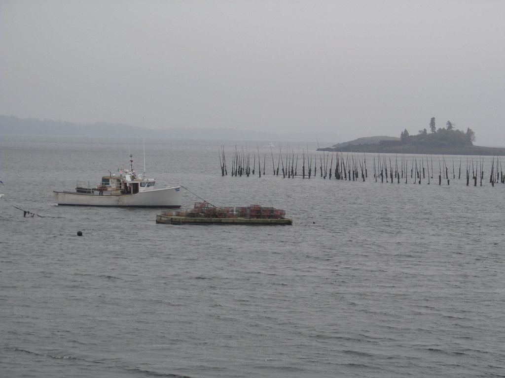 Gleason Cove Perry, Maine Gleason Cove Perry, Maine Flickr