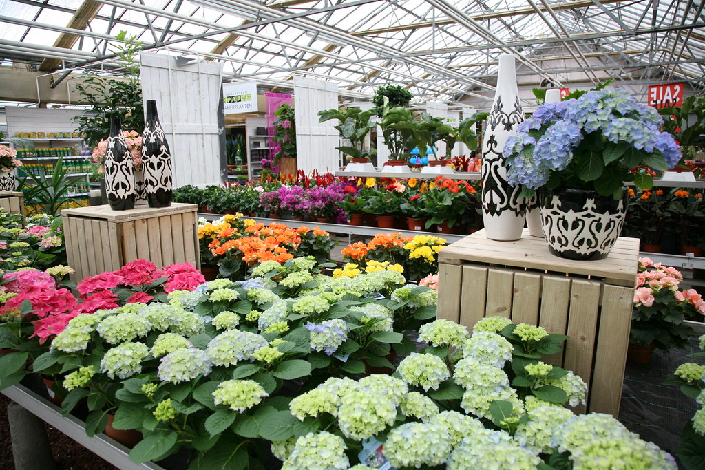 DUTCH NURSERY (5) DUTCH NURSERY bertknot Flickr