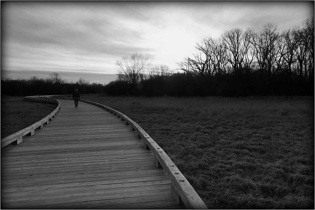 Cuba Marsh Boardwalk, Lake County, Illinois There is this … Flickr