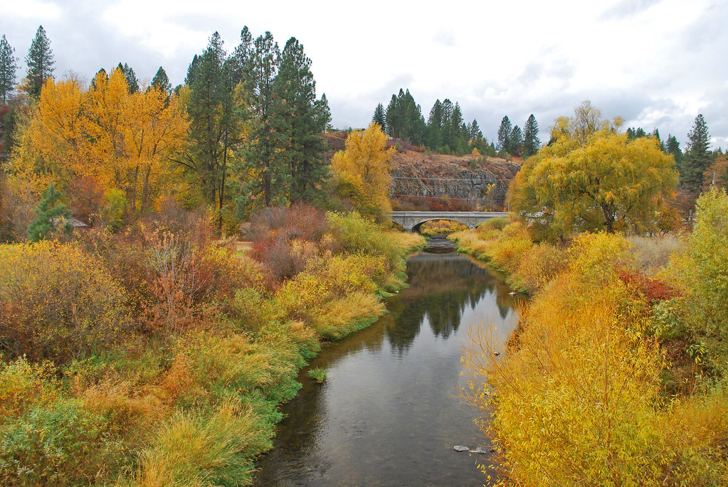 Latah Creek View of an autumn day of Latah creek off the b… Flickr