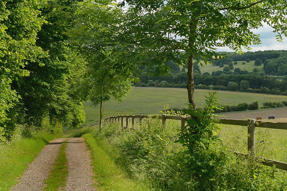 Summer view from Sedges Farm towards Great Missenden Flickr