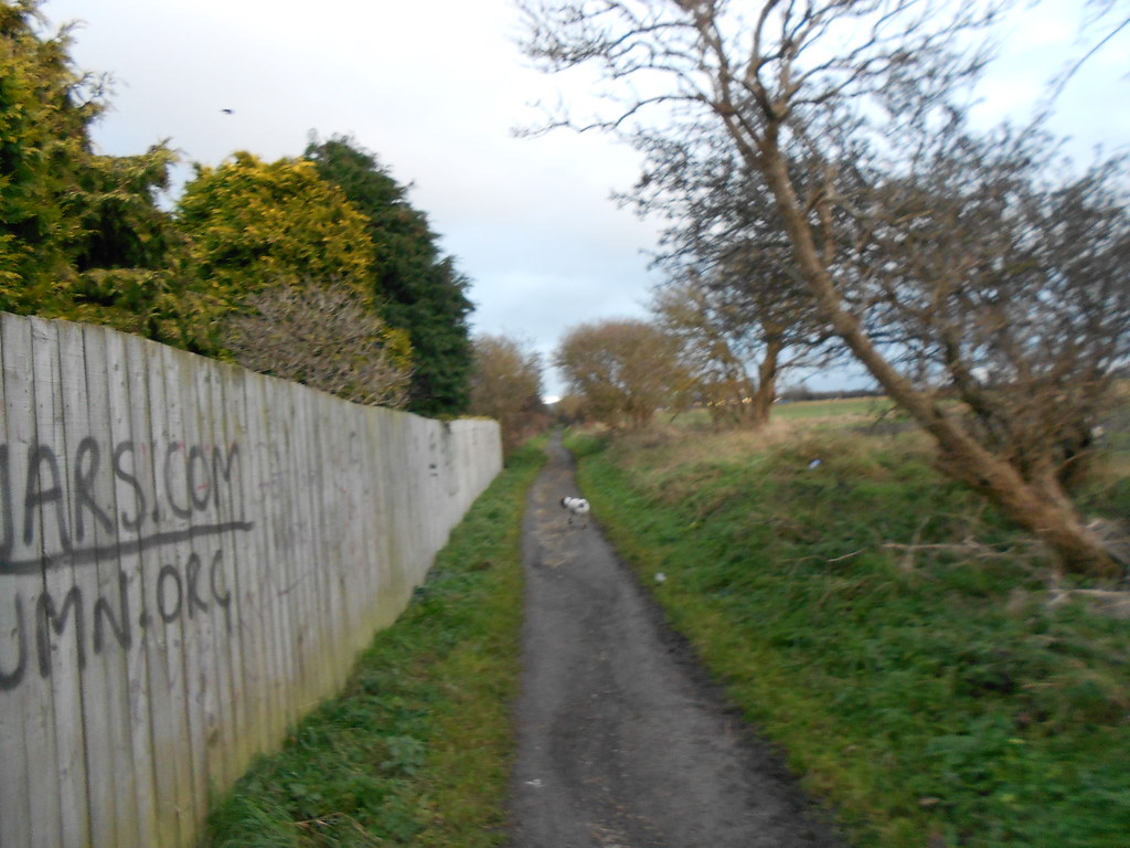 10 mile run Whiteleas Cleadon Marsden Whitburn 006 Flickr