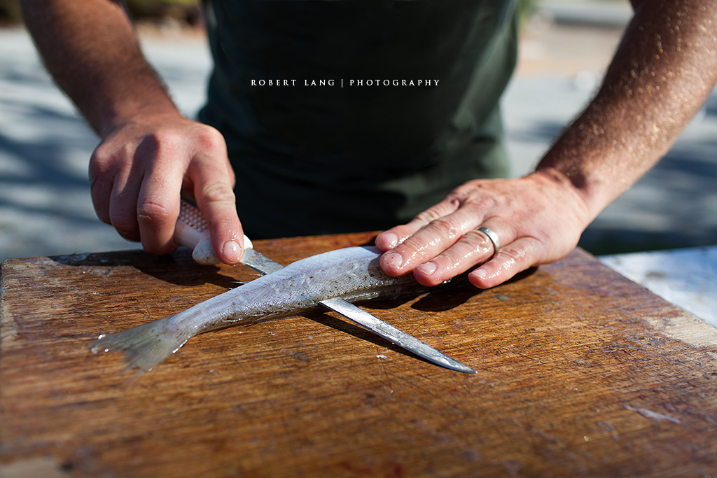 Filleting fish, Australia (Buy at Getty Images) Filleting … Flickr