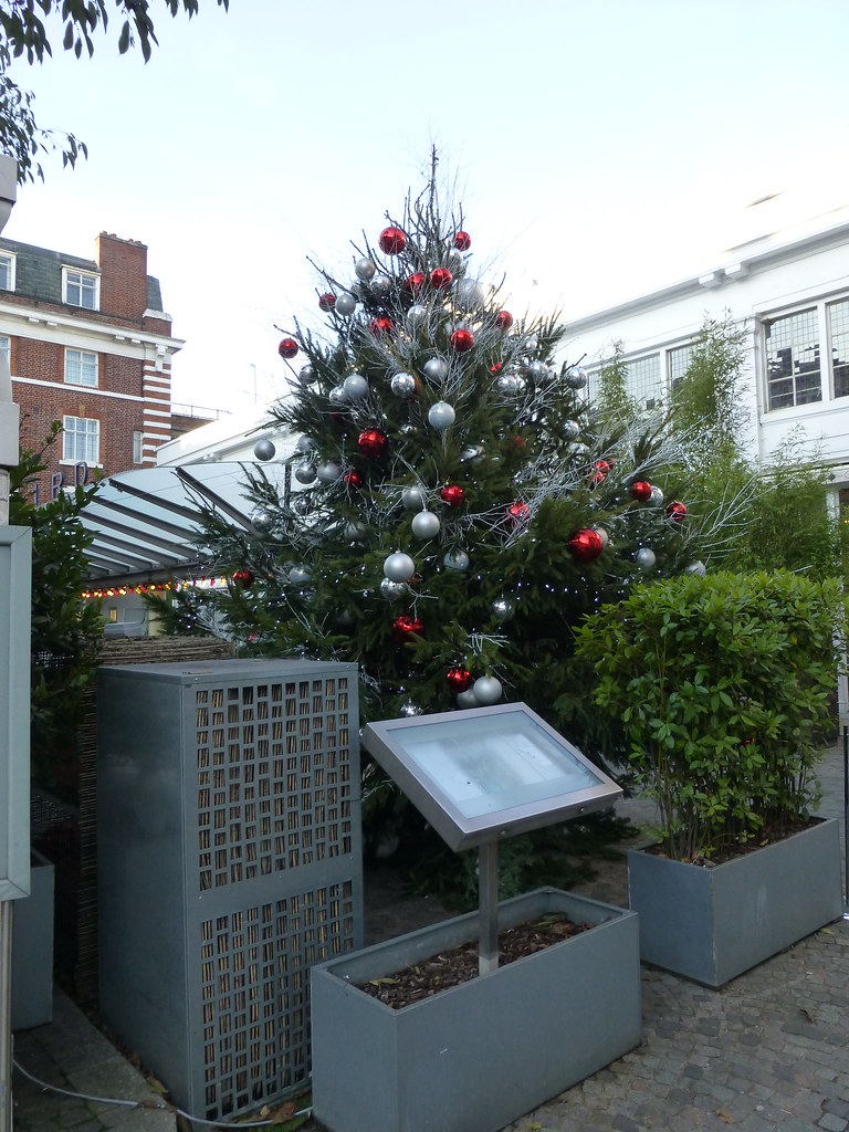 Christmas Tree outside The Bluebird Chelsea Paul F 36 Flickr