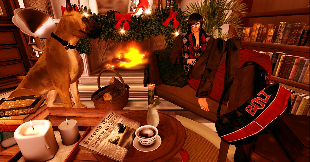 His Masters Voice Me and Baron Von Marmaduke (Great Dane) Logan