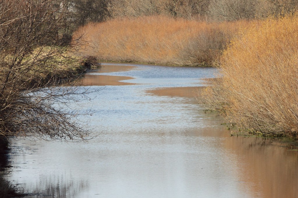Cottage Grove, Wi Glacial Drumlin Trail Mile 3.2 WisconsinKaasKop