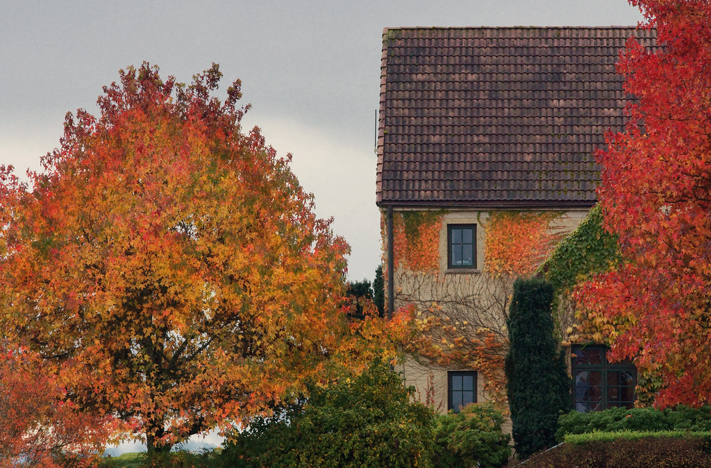 King Estate Winery SERIES Crow, Oregon drburtoni Flickr