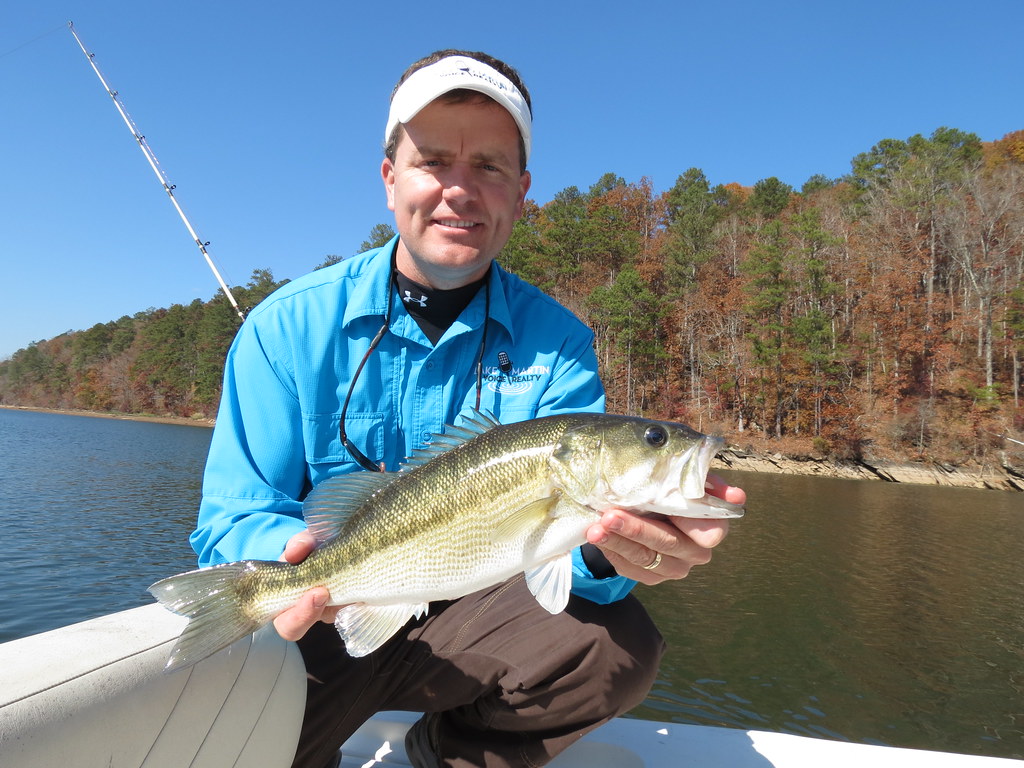 Striper Fishing on Lake Martin with Alex City Guide Servic… Flickr