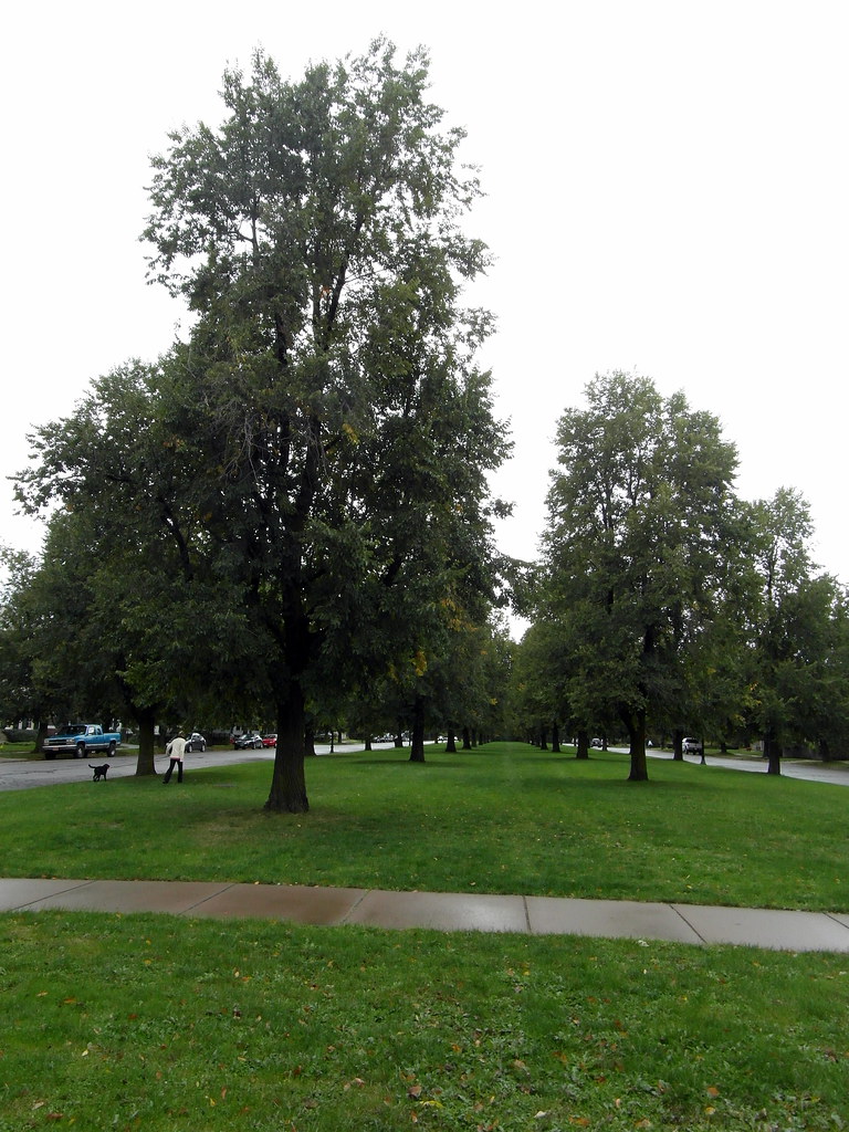 Chapin Parkway Chapin Parkway, Buffalo. Part of the Parkwa… Flickr