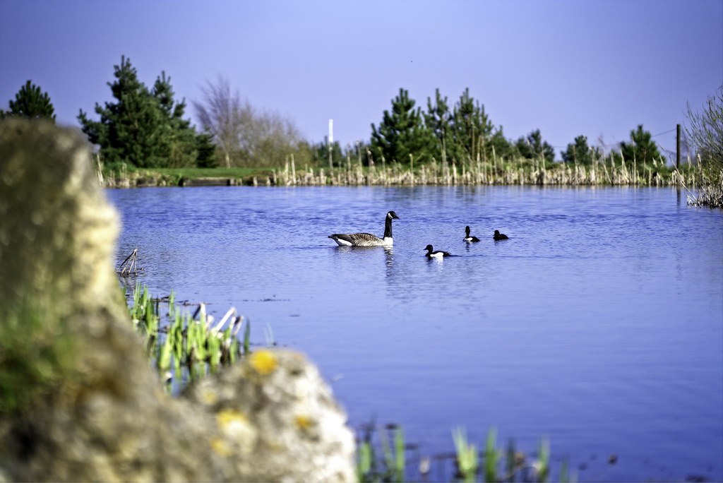 Sharpley Fishing Lakes Asked to take some photos for a loc… Flickr