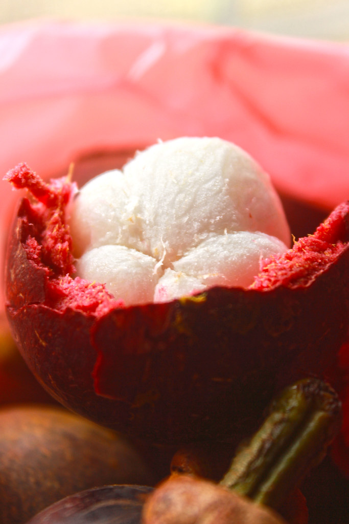 Season of Mangosteen Choong Soo Jia Flickr