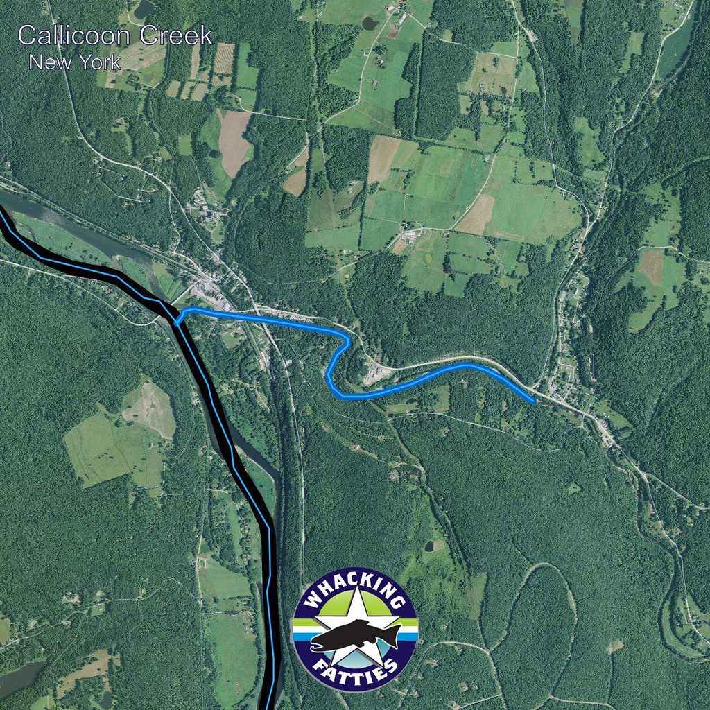 Callicoon Creek, New York Callicoon Creek, New York Fly Fi… Flickr