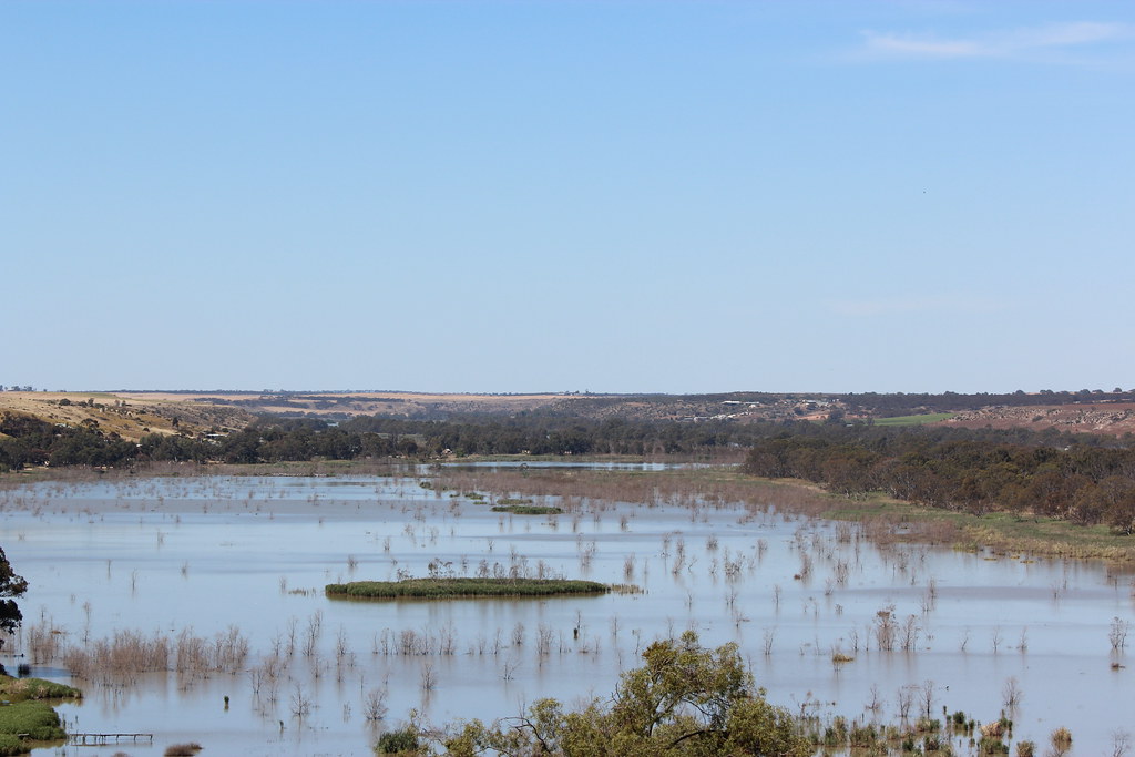 Murray River near Mannum, South Australia. Murray River fr… Flickr
