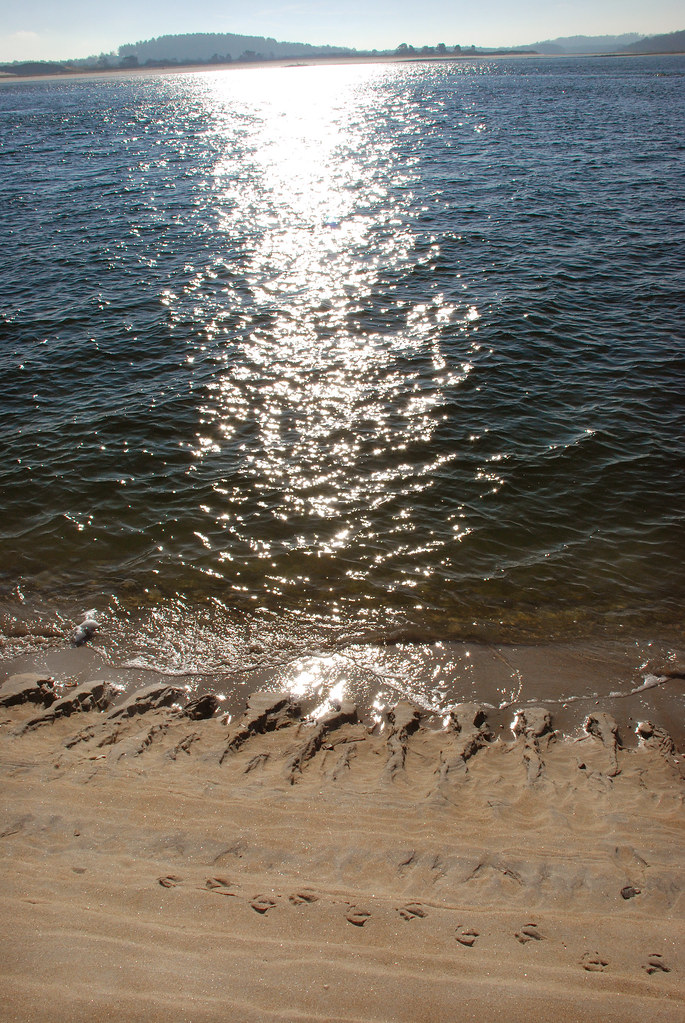 Plum Island MA Parker River National Wildlife Refuge New… Flickr