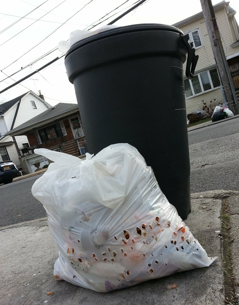 Birdpecked garbage bag Matt Green Flickr
