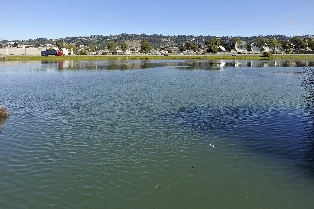 021 King Tide Richmond, CA 121212 King High Tide (High) Flickr