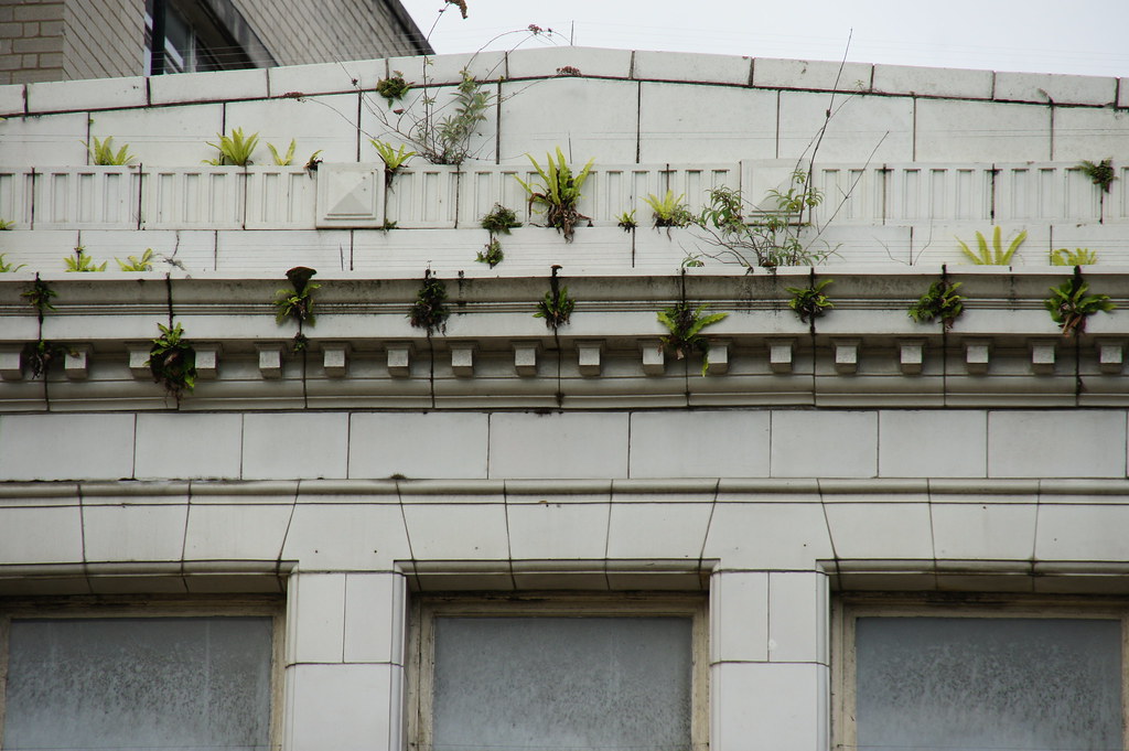 Miss Selfridge, 14 Commercial Road, Bournemouth, Dorset a photo on
