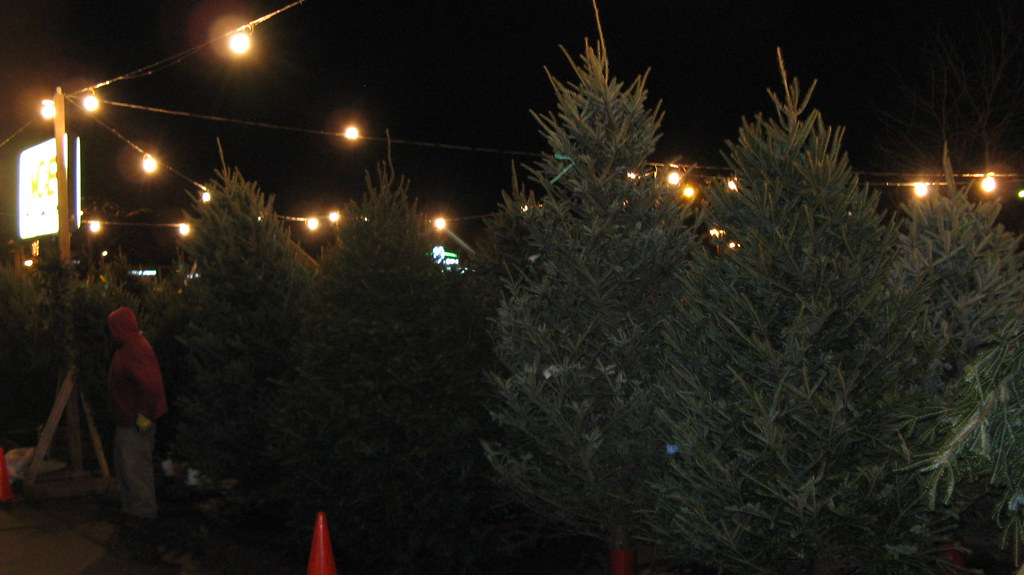 A local seasonal live Christmas tree sales lot. Glenview I… Flickr