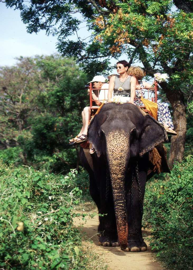 Elephant Ride Sri Lanka 'One Island.Many Worlds' Flickr