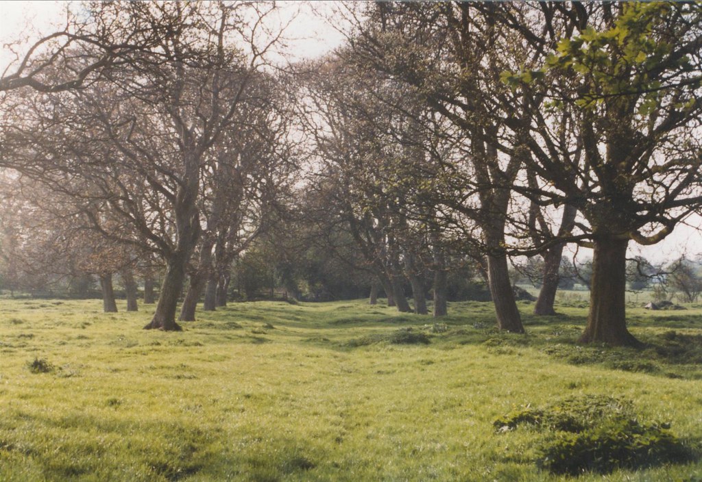 Watton Priory Walnut Avenue Gilbertine priory erected betw… Flickr