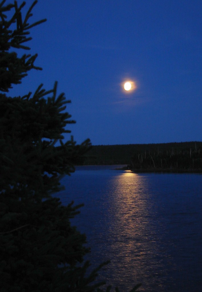 Glimmer The moon rises over Windsor Lake, St. John's, Newf… Flickr