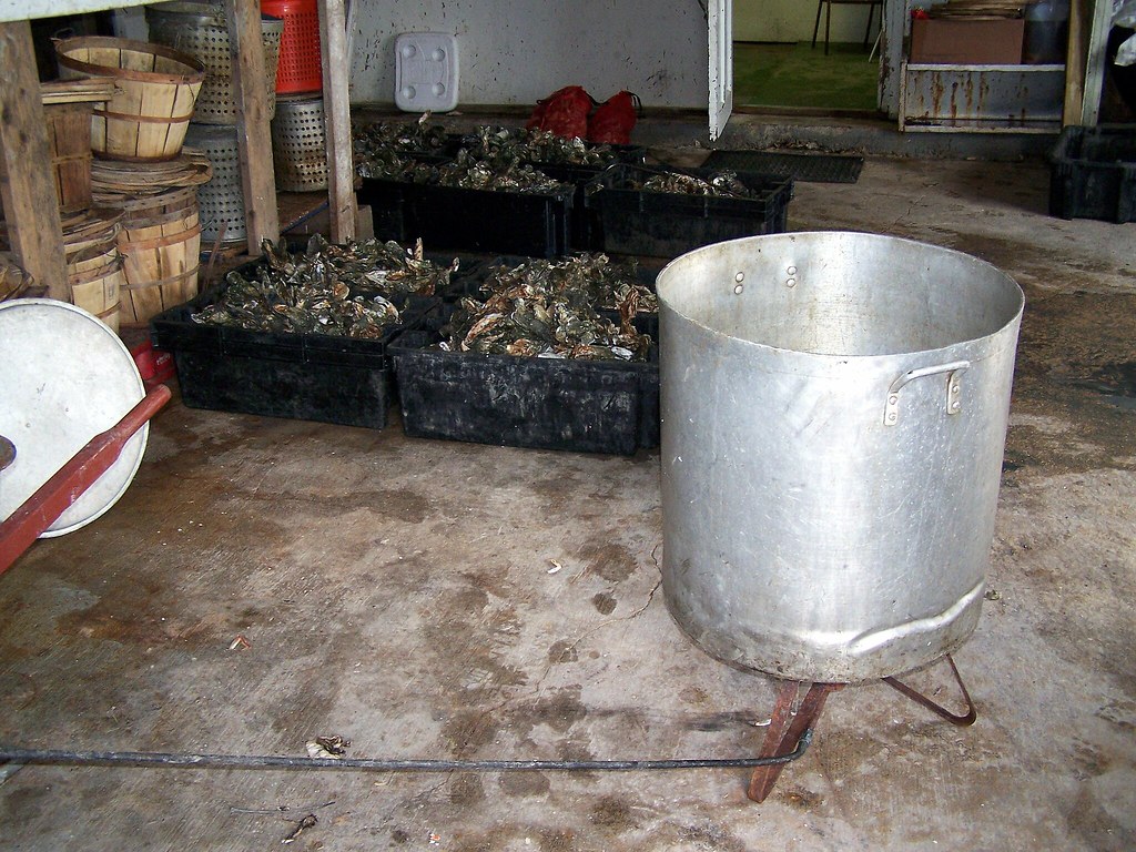Oysters! Bluffton Oyster Company. May River, Bluffton, Sou… Flickr