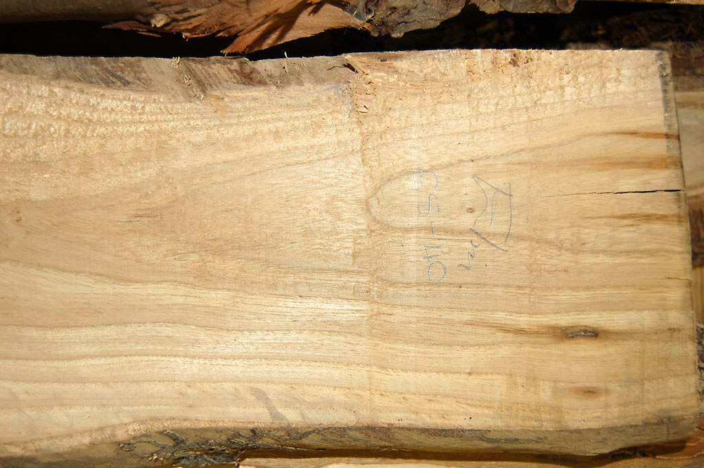 Elm Elm wood grain Dom Atreides Flickr