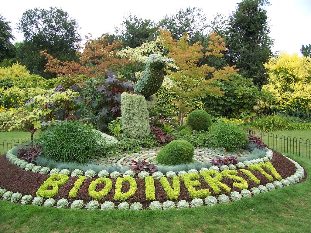 Garden celebrates biodiversity, Bath On Great Britain, the… Flickr