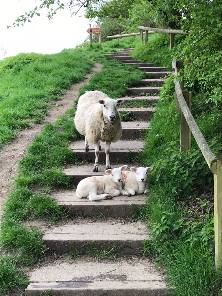 Untitled Natalie GiffordGroves Flickr