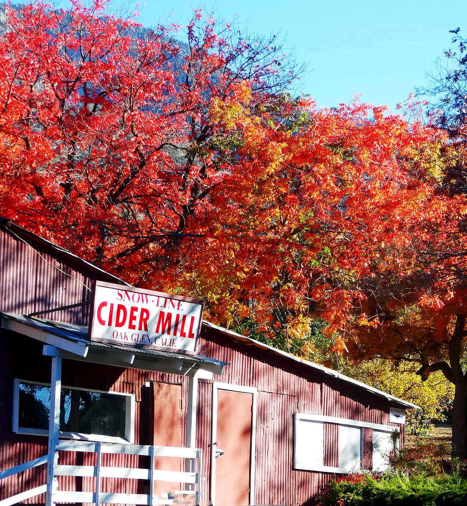 Cider Mill Autumn, Oak Glen, CA 2016 (1 in a multiple pict… Flickr