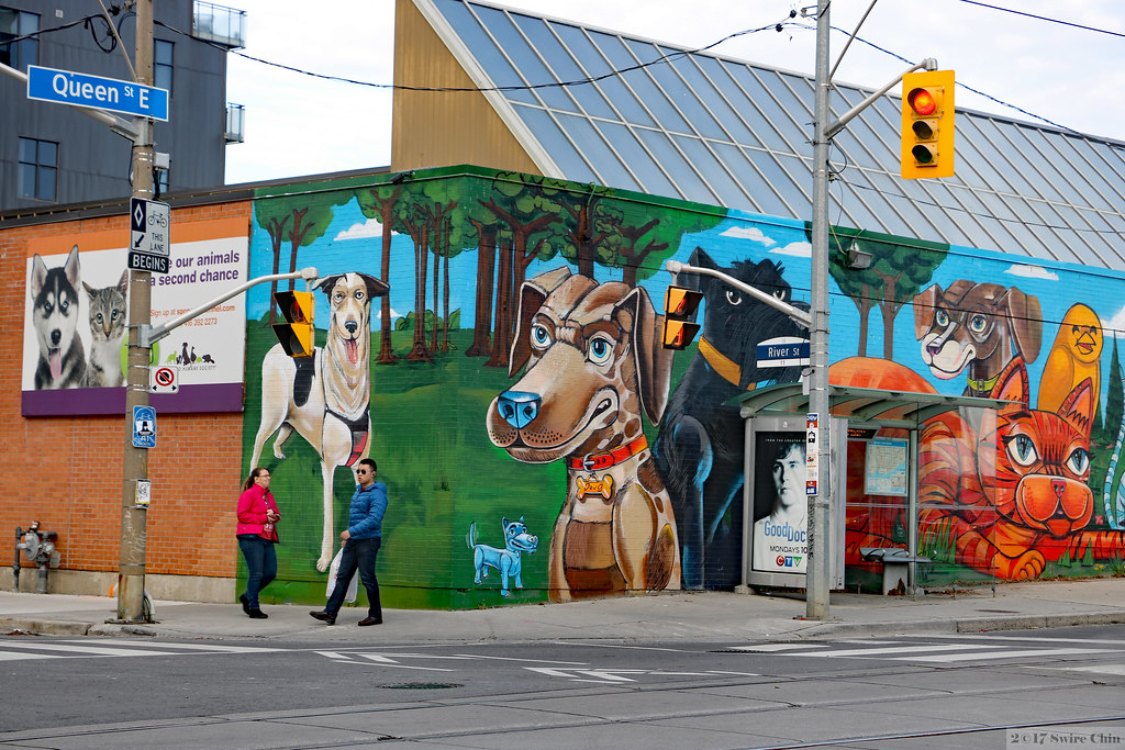 Toronto Humane Society Wall murals on Toronto Humane Socie… Flickr