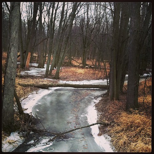 Elevation of Lake Geneva, Dewitt, MI, USA Topographic Map Altitude Map