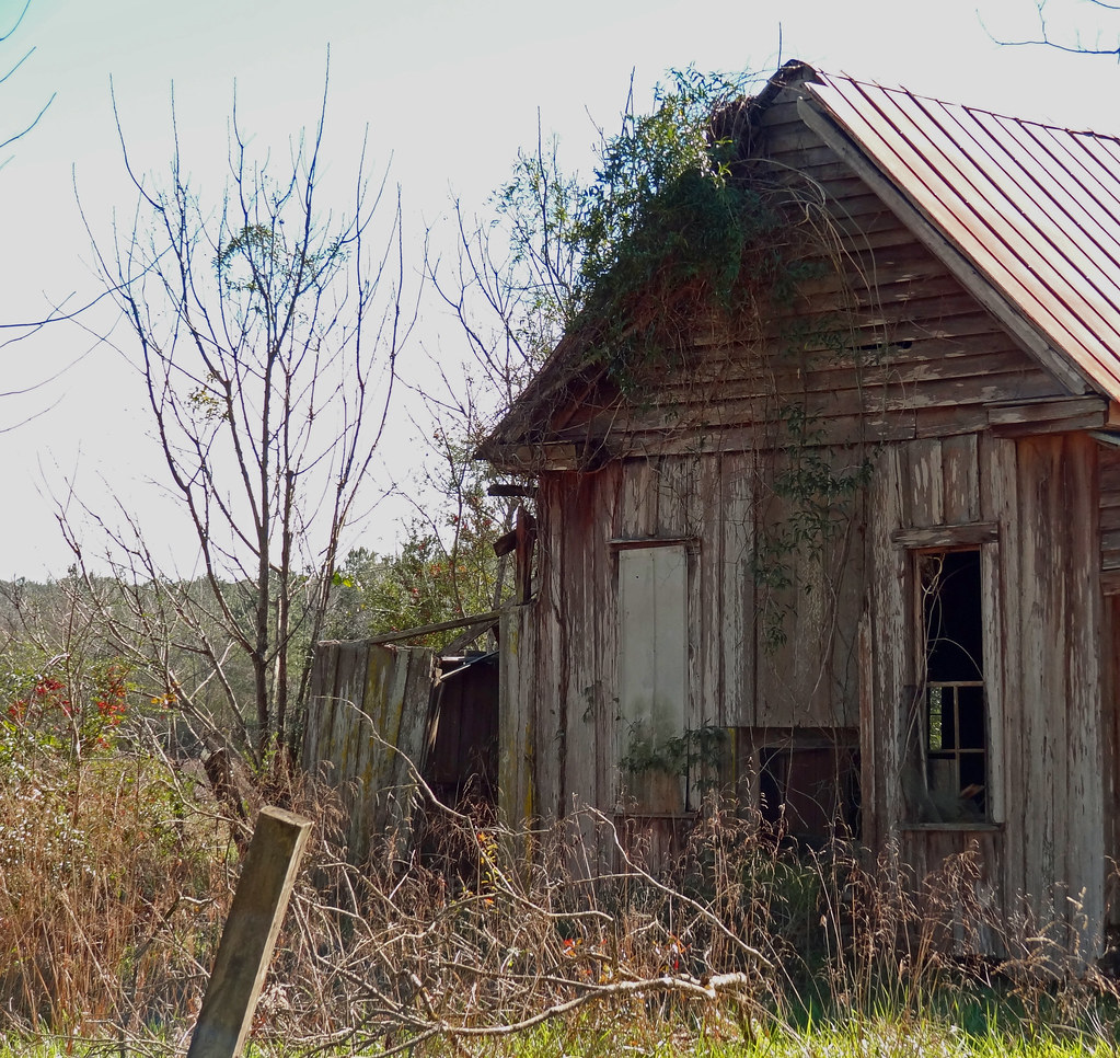 Jack, Alabama RebeccaJWoodham Flickr