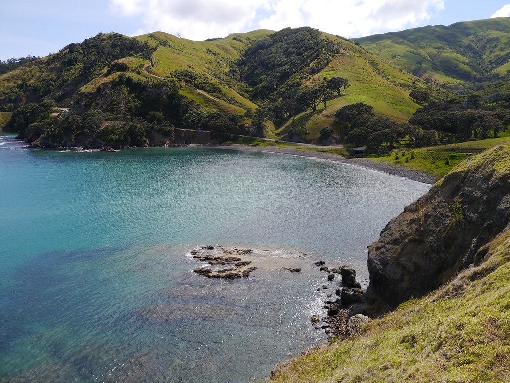 Coromandel, Port Jackson (83) Nick Walshe Flickr