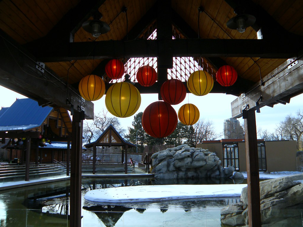 Festival of the Lanterns at Elephant Passage Denver Zoo, C… MyAngel