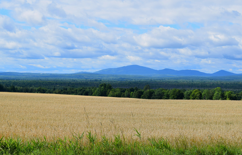 Fields and Mountains Taken in Sherman, Maine In Memoriam P. Wayne