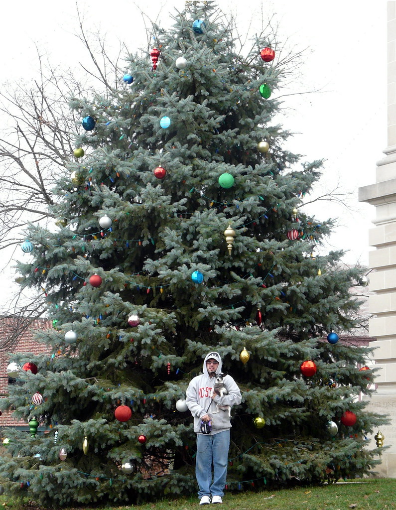 Christmas Tree on the town square in Danville Indiana Flickr