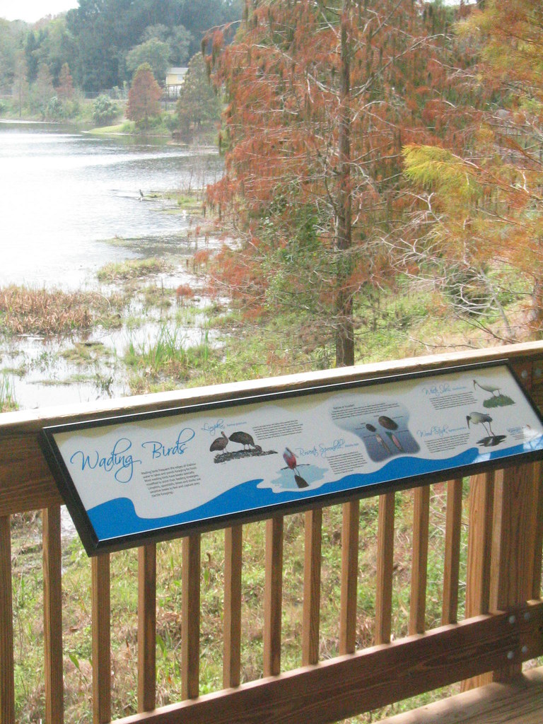 Joe's Creek Neighborhood Greenway Flickr