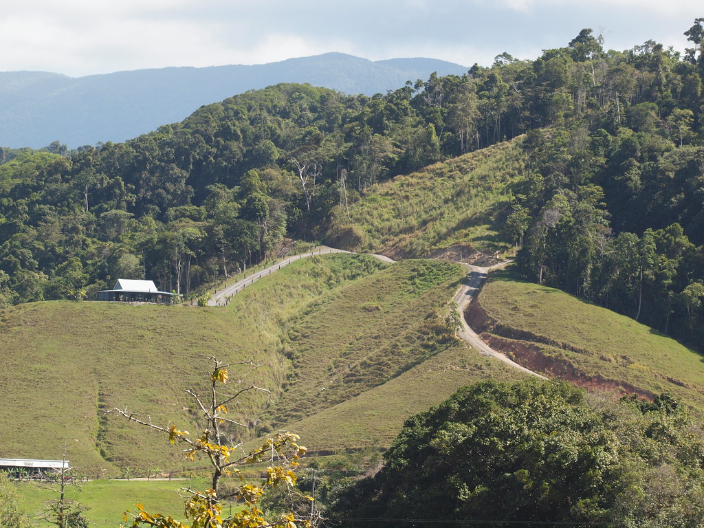 P8147620 Near Daintree Village Queensland Australia Aug 20… Flickr