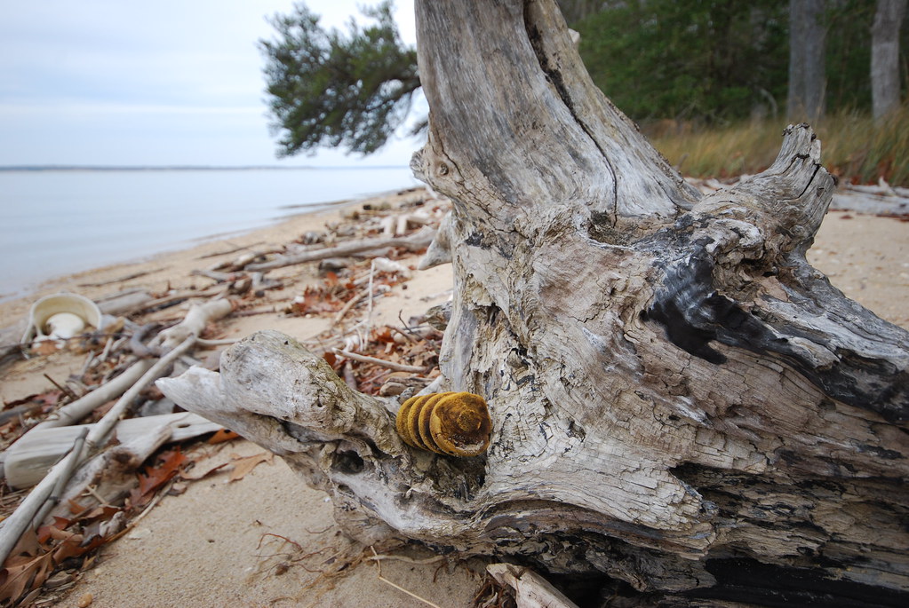 Caledon State Park Boyd's Hole Trail winter Uploaded by … Flickr
