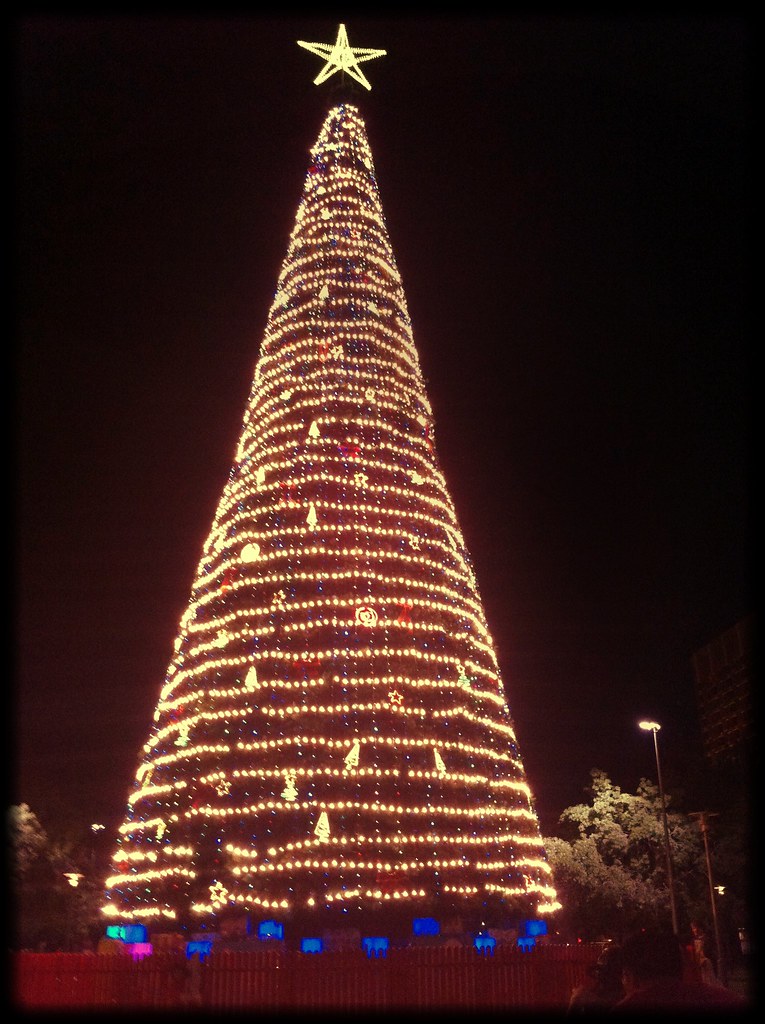 Adelaide Christmas Tree at night! prilla79 Flickr