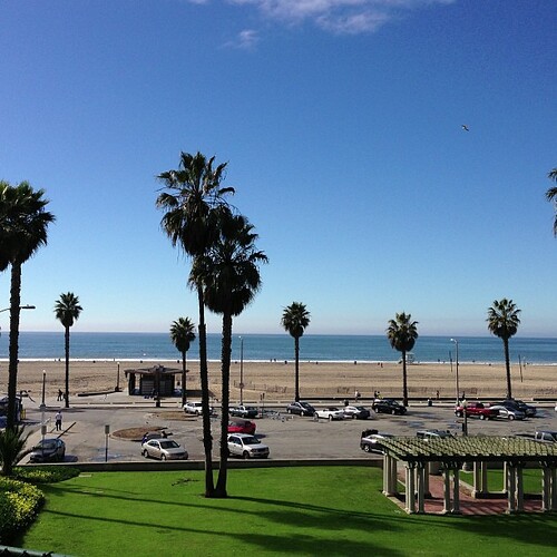 This is why I moved from the NC to CA..how's your winter g… Flickr