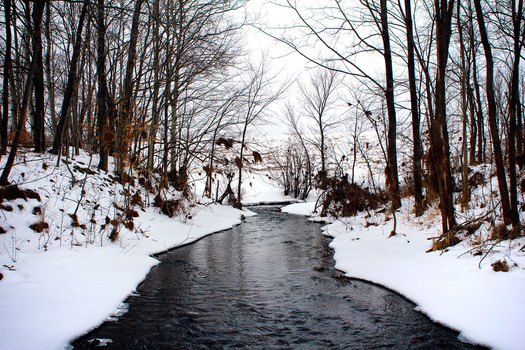 Black Stream. llrrcc Flickr