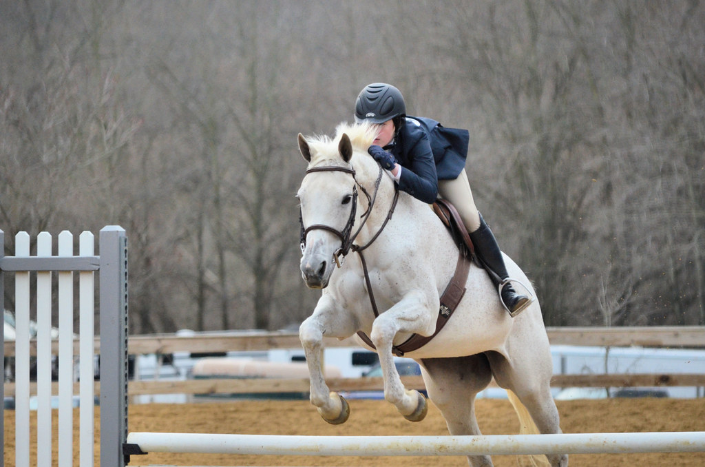 "Horse Shows" primarily PG County Equestrian Center, Upper Marlboro MD