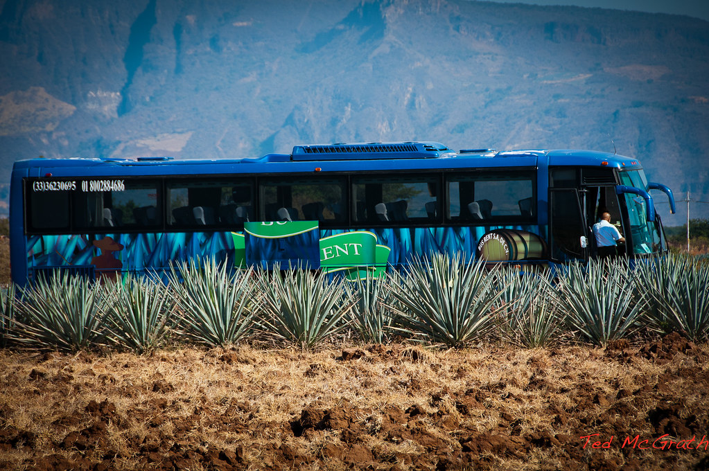 GUADALAJARA DEC 2011Tequila Tequila The tour bus in the a… Flickr