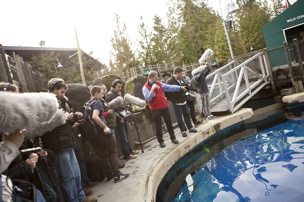VFS Sound Design for Visual Media Vancouver Aquarium 2013… Flickr