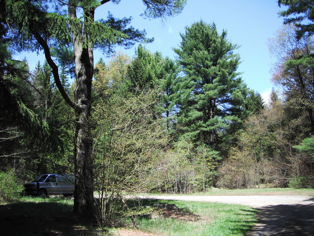 4272012_09_Beaver_Meadows Trees around the trailhead par… Flickr